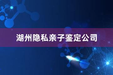 湖州隐私亲子鉴定公司