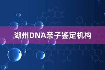 湖州DNA亲子鉴定机构