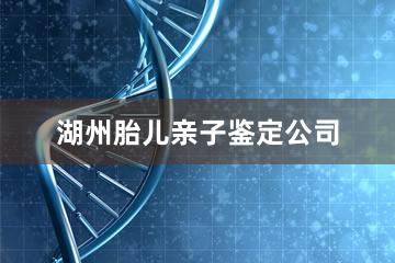 湖州胎儿亲子鉴定公司